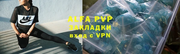 мет Касимов