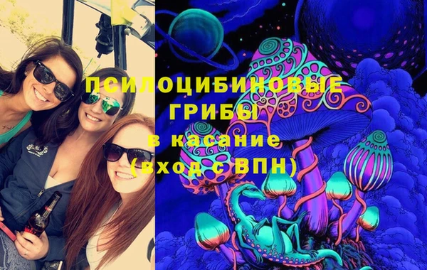 мет Касимов