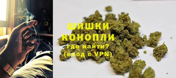мет Касимов